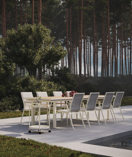 Nofi Frozen Masa & Neva Sandalye Takımı